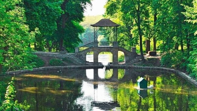 Олександрія