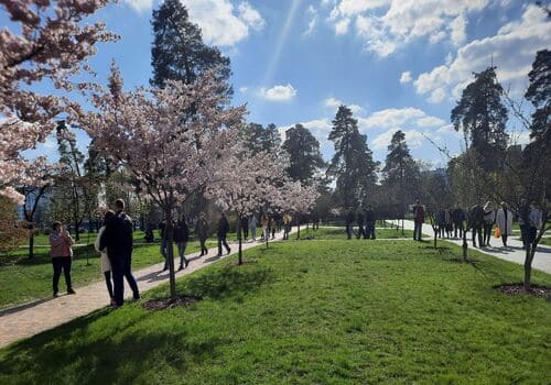 Деснянський район