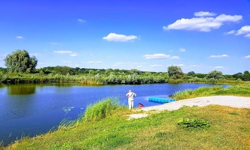 Відпочинок Кийлівська Асканія.