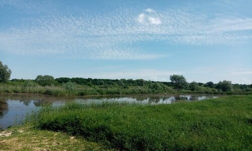 Как добраться до Кийловской Аскании.