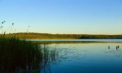Цікаві наукові дрібниці
