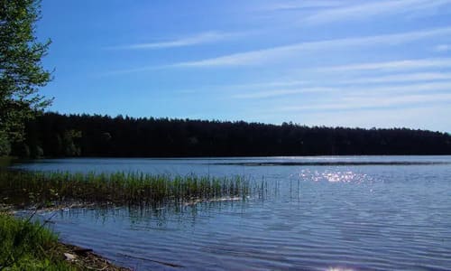 водойми Київської області