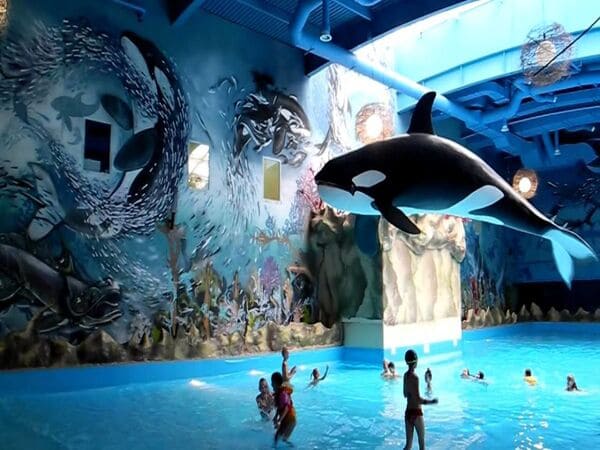 Аквапарк «Дрімленд»