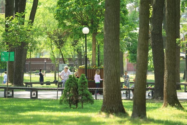 парк Дубки в Ірпені