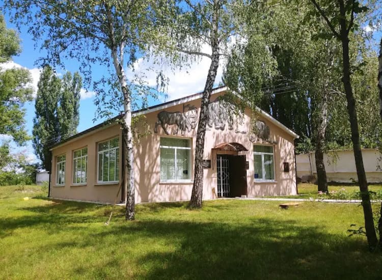 Археологічний музей «Добраничівська стоянка»